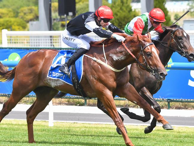 Royal Insignia, ridden by Jamie Mott, wins at Caulfield Heath. Picture: Pat Scala/Racing Photos via Getty Images