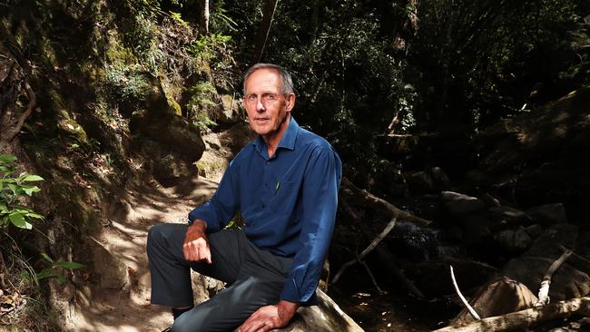 Bob Brown former Greens leader and now of the Bob Brown Foundation in relation to the Federal Court decision on logging in Tasmania handed down in Brisbane. Picture: Nikki Davis-Jones.