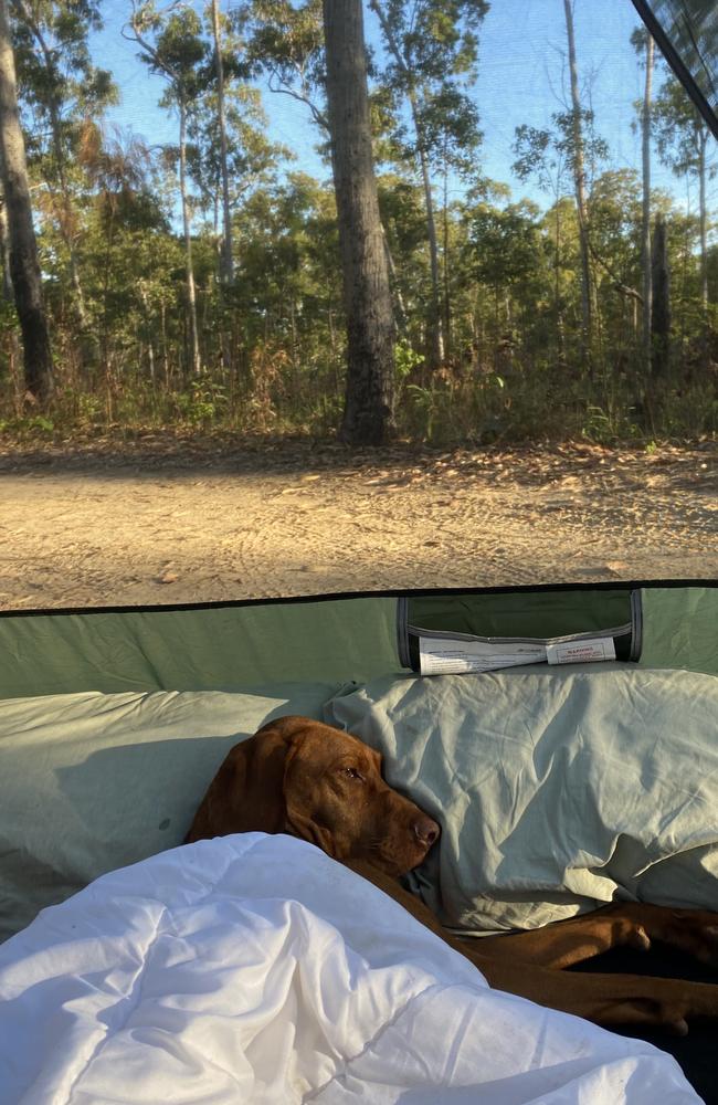 Donna Versace Mango goes camping with her dog in the NT.