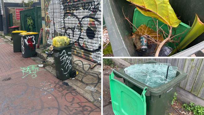 Bins in Sydney’s inner west. Picture: Supplied