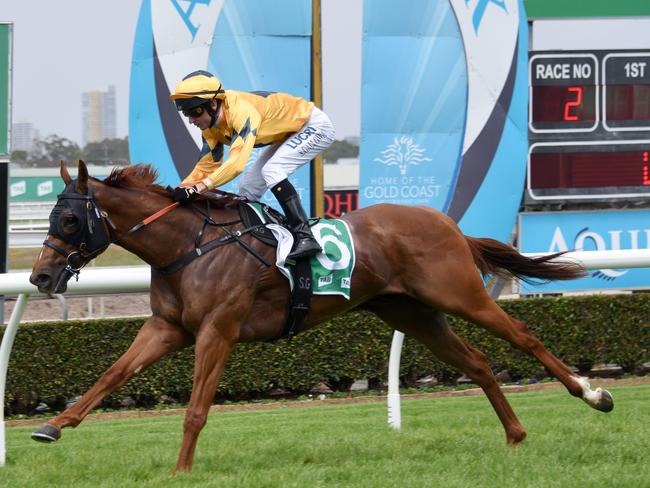 Winner of Race 2 The Carpenter ridden by Scott Galloway at the Gold Coast Turf Club. (Photo/Steve Holland)