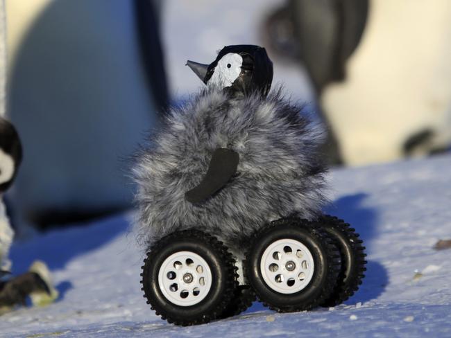 This photo provided by Frederique Olivier/John Downer Productions shows a remote-controlled roving camera camouflaged as a penguin chick in Adelie Land, Antarctica. The device is so convincing that penguins don't scamper away and sometimes even sing to it with trumpet-like sounds. Emperor penguins are notoriously shy. When researchers approach, they normally back away and their heart rate goes up, which is not what the scientists need when they want to check heart rate, health and other penguin parameters. (AP Photo/Frederique Olivier, Downer Productions)