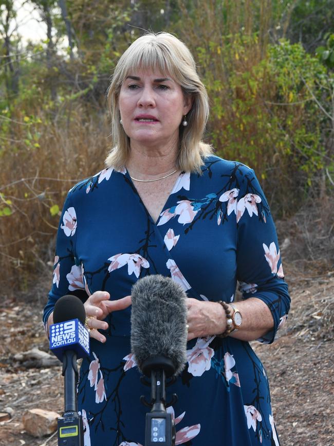 INfrastructure and Planning Minister Eva Lawler .Picture Katrina Bridgeford.