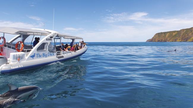 Go adventuring with the Big Duck Boat Tour in Victor Harbor. Picture: SATC