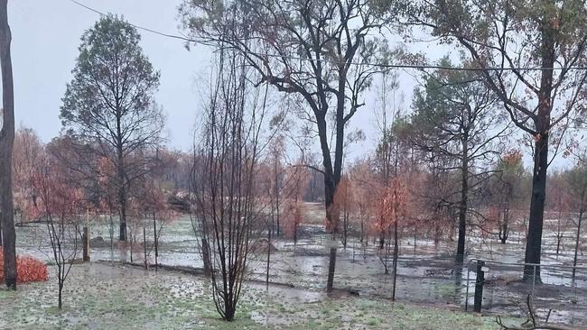 Wieambilla property soaking up the rain following deadly bushfires. Picture: Chris Mansell