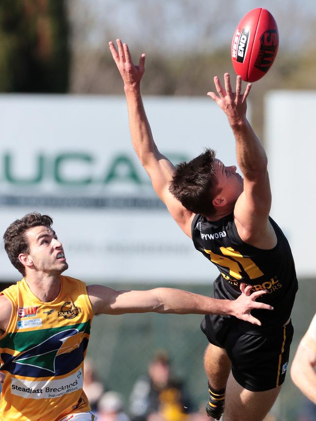 Glenelg’s Ziggy Vitkunas stretches for a mark. Picture: Dylan Coker