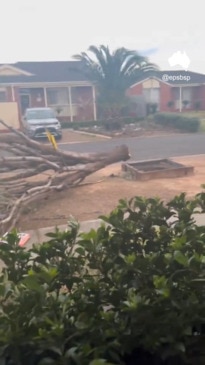 Watch: Wild weather rips through Melbourne