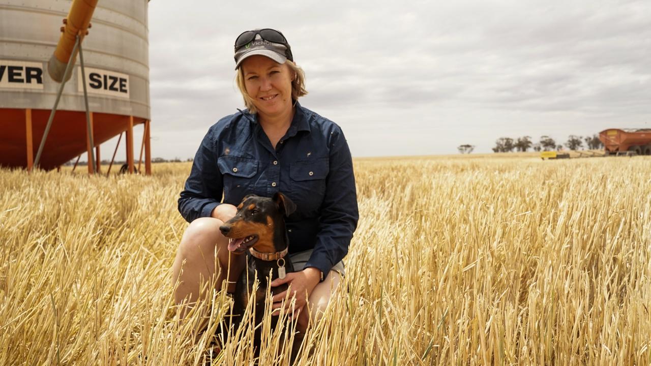 Waitchie grower’s vegie patch pays dividends on-farm