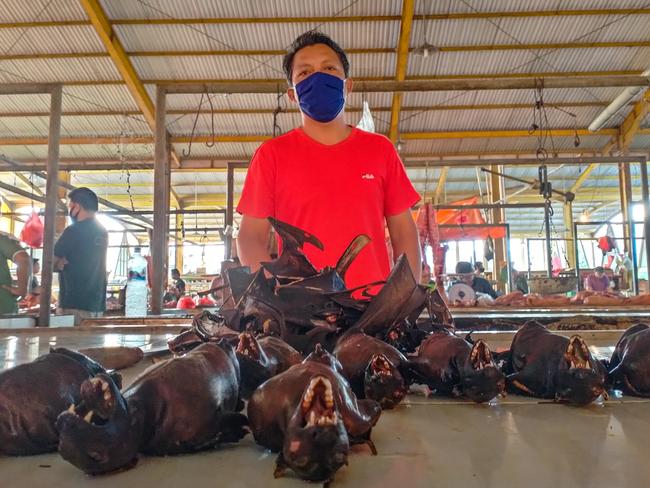 Bat for sale at the Tomohon exotic wildlife market in Sulawesi, Indonesia. Picture: Agung Maupa