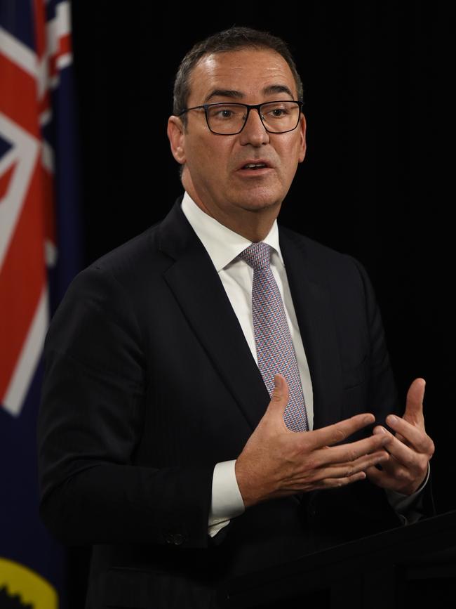 Premier Steven Marshall the November state budget would include support but stimulus could not wait that long. Picture: NCA NewsWire / Naomi Jellicoe