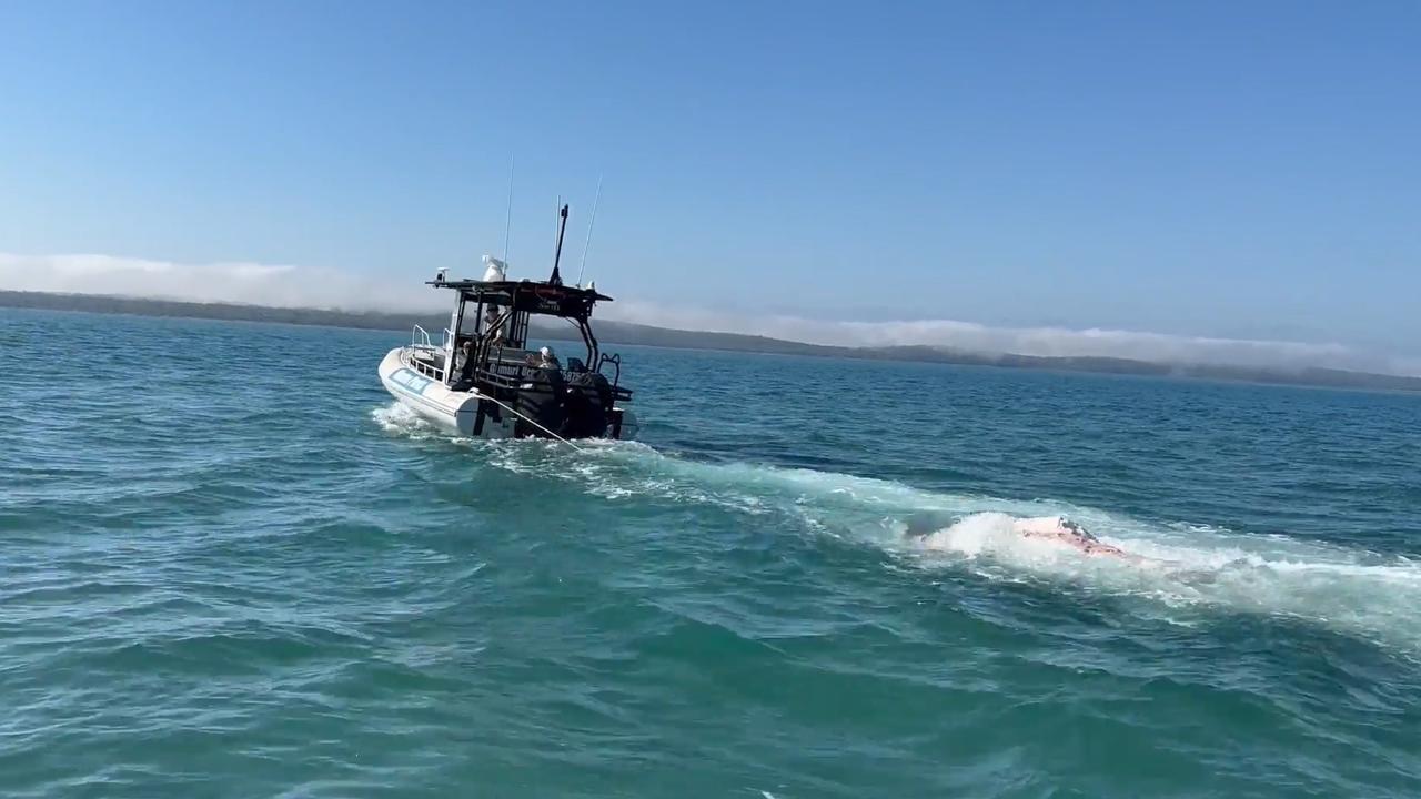 Marine rangers towed the carcass elsewhere and anchored it so the natural feeding process can continue.