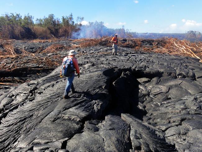 Trees are left scorched and burnt by the lava flow.