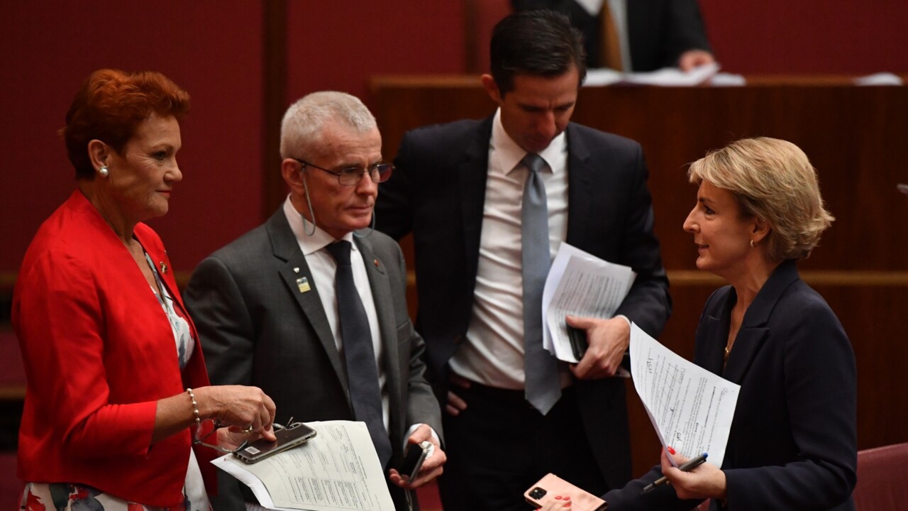 Tony Burke: Government not truthful about being ‘tough’ on wage theft