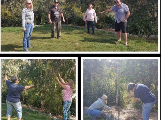 Photographs of volunteers working at Black Swan Lake on the Gold Coast.