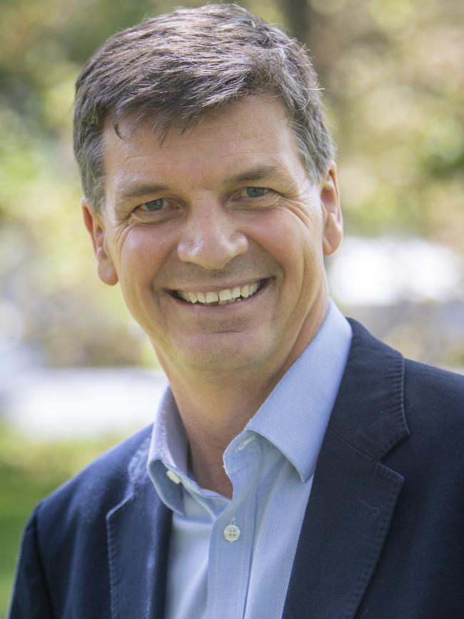 Angus Taylor, Energy Minister.