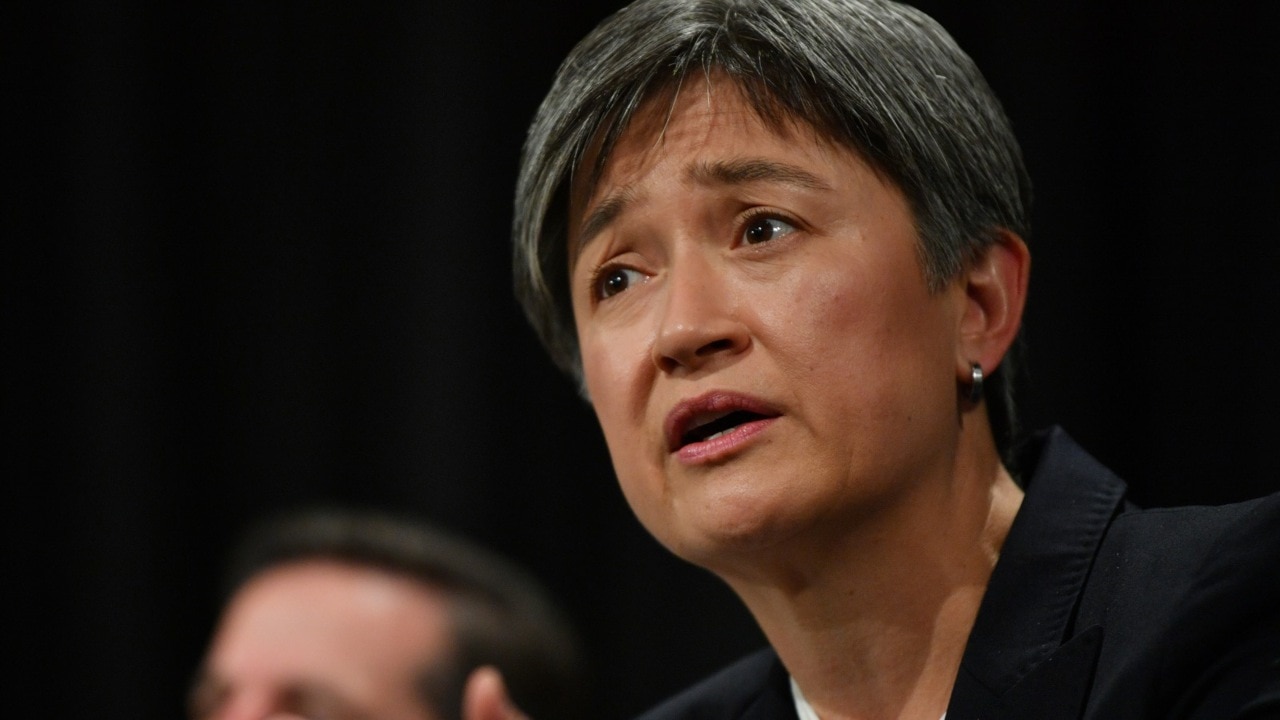 ‘Completely out of line’: Penny Wong’s ceasefire call in the Middle East condemned