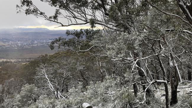 SNOW FLURRIES: Business owners in Tenterfield are hoping for a repeat of the 2015 winter when snow last fell at Mt MacKenzie which overlooks the town, as many visitors flocked to the area to enjoy the white stuff.