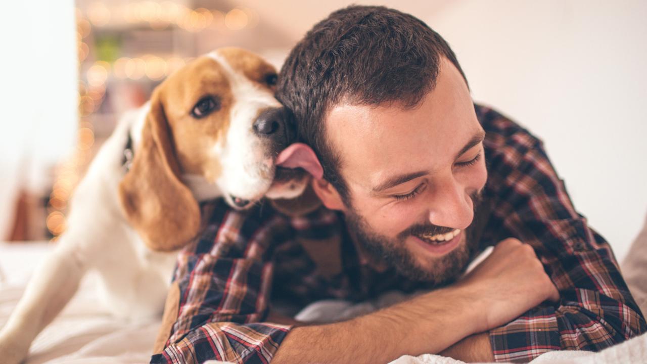 What your dog is trying to tell you. Picture: iStock