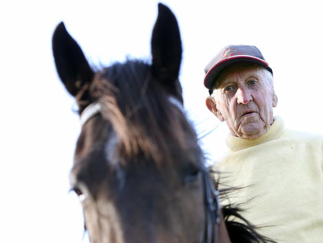 Local horse trainer Brian Connolly, 85, who helps out at the property.