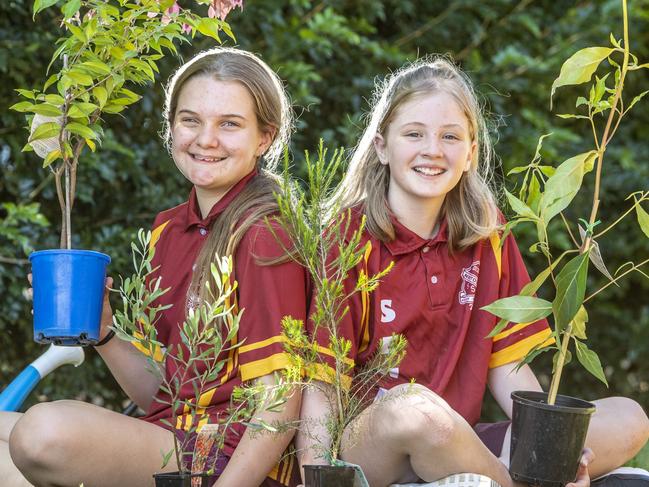 Best friends and Newtown State School year 6 students Ruby Cook and Allysia Krause love to plant together as members of the school's environmental group. Picture: Nev Madsen.