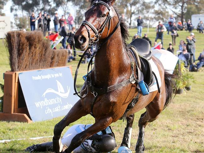 Equestrian sports have high incidences of concussion. Picture: Yuri Kouzmin