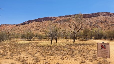 Mt Gillen in Alice Springs has been closed, and will officially be enforced from March 1,