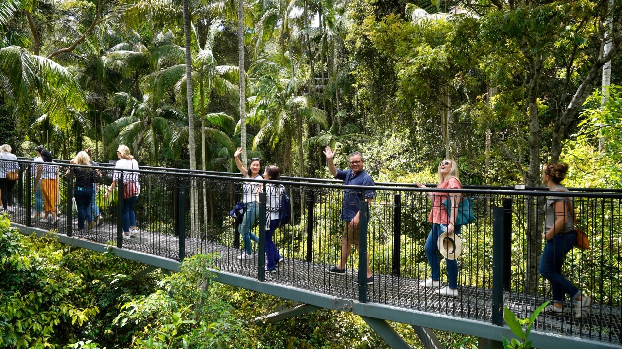 Best things to do in the Gold Coast away from the beach | escape.com.au