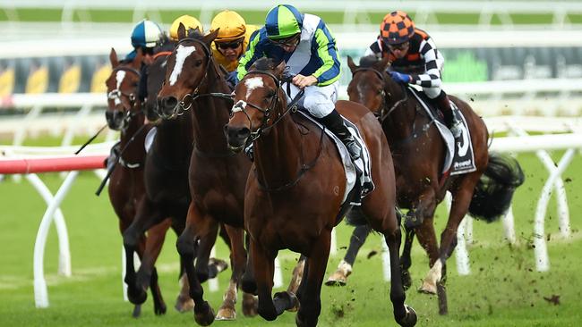 Eliyass wins the Lord Mayor’s Cup at Royal Randwick in June. Picture: Jeremy Ng / Getty Images