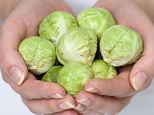 brussel sprouts in hands