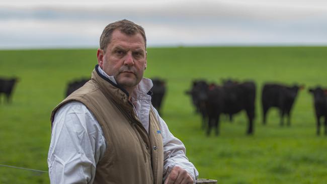 No stress: Jim Gaylard of Rose Grange Pastoral Company, which took out a prestigious Meat Standards Australia award.