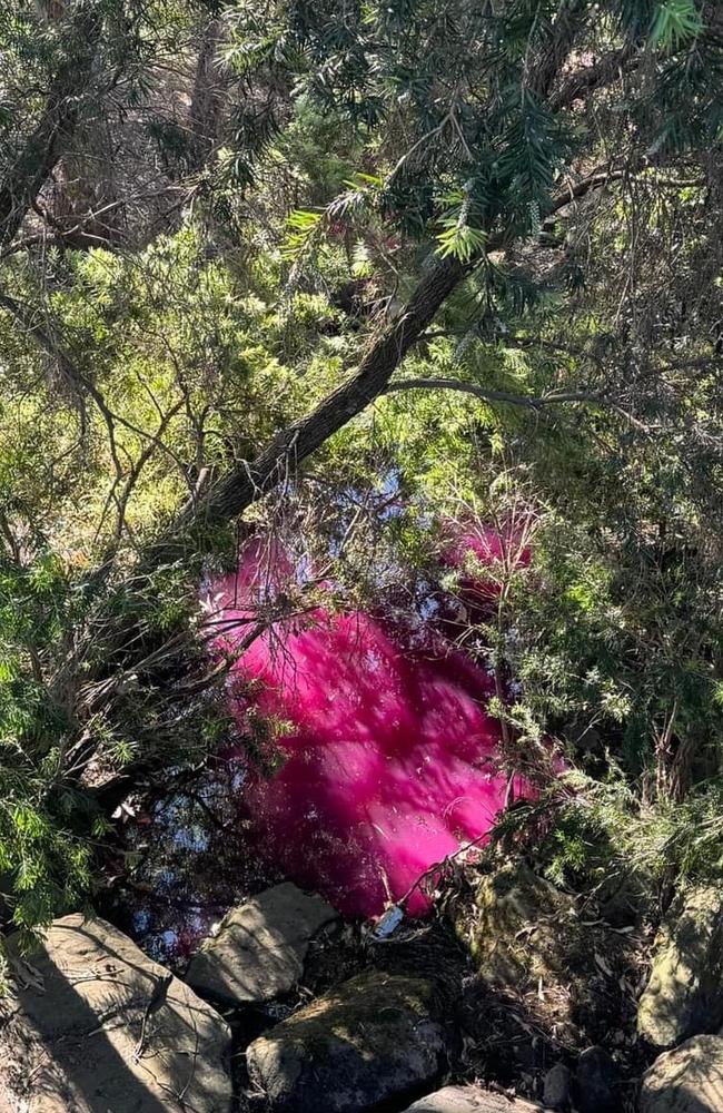 A creek in Kellyville, in the Hills Shire, turned bright pink. Picture: Facebook