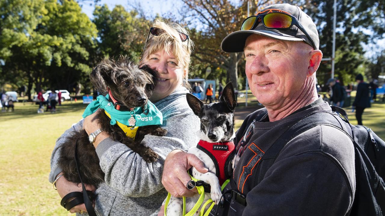 Fun for fur-babies at Million Paws Walk in Queens Park | The Chronicle