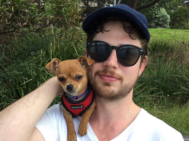 Will Goodbourn is holding a very unique fundraiser for rural firefighters with the help of his three chihuahuas.
