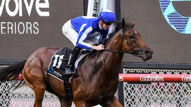 Crystal Bound won on debut at The Valley earlier this year. Picture: Racing Photos via Getty Images