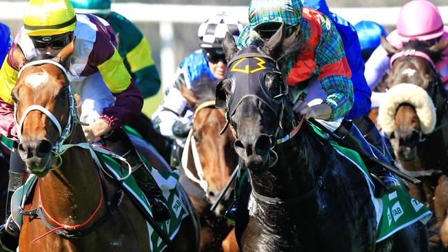 Thoroughbred action heads to Cowra and Lismore in NSW on Sunday.