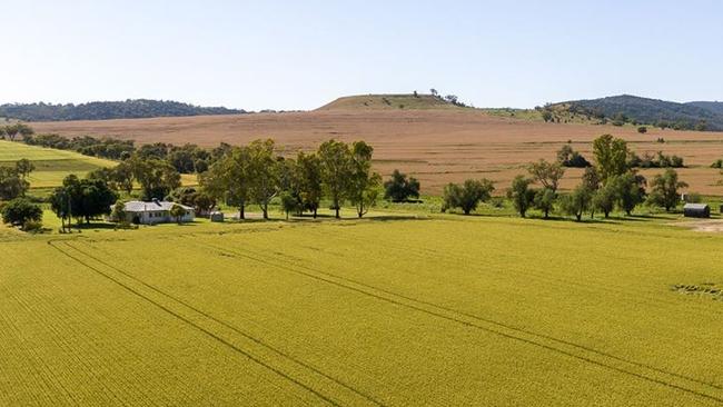 Northern NSW farm the Glen was purchased by a fund that is a partnership between the Australian government’s Clean Energy Finance Corporation and Canada’s Caisse de dépôt et placement du Québec.