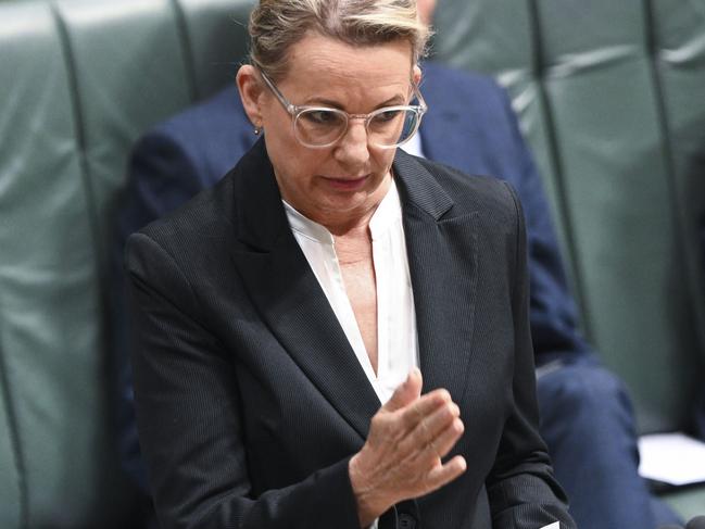 Deputy Leader of the Opposition Sussan Ley during Question Time at Parliament House in Canberra. Picture: NCA NewsWire / Martin Ollman