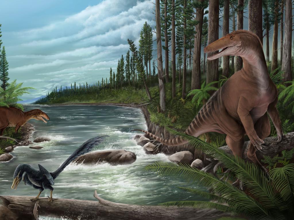 The discovery has led to the confirmation of the existence of large carnivorous dinosaurs on what would become the Australian continent. Picture: Jonathan Metzger/Supplied