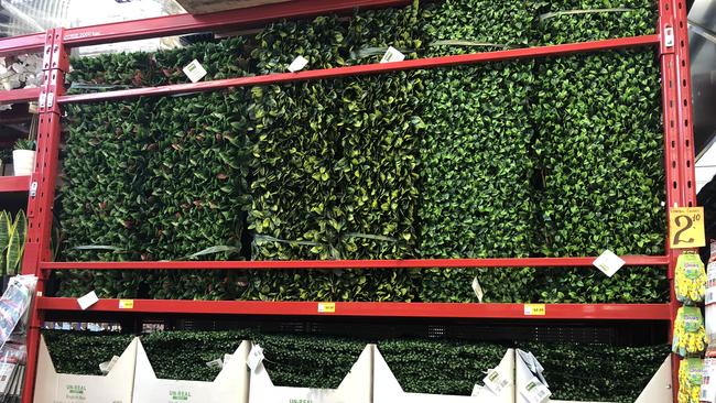 An artificial green wall, which Bunnings Warehouse Newstead manager Leigh Streeter says is all the rage. Picture: Amanda Horswill