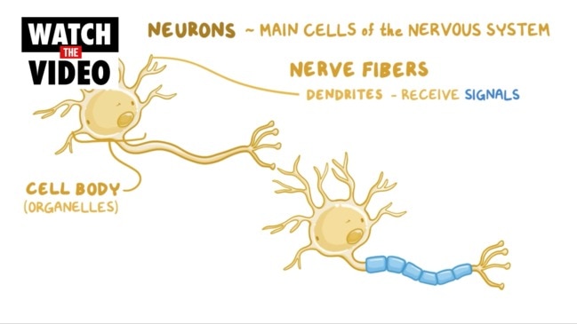 What is transverse myelitis?