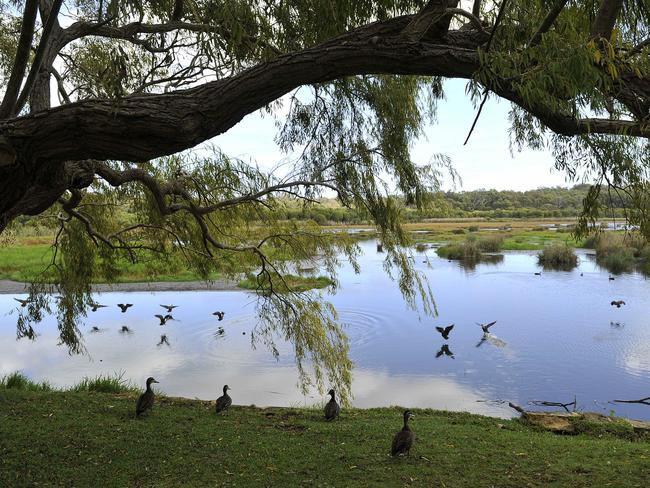 Yanchep Suburban Snapshot. Yanchep National Park.