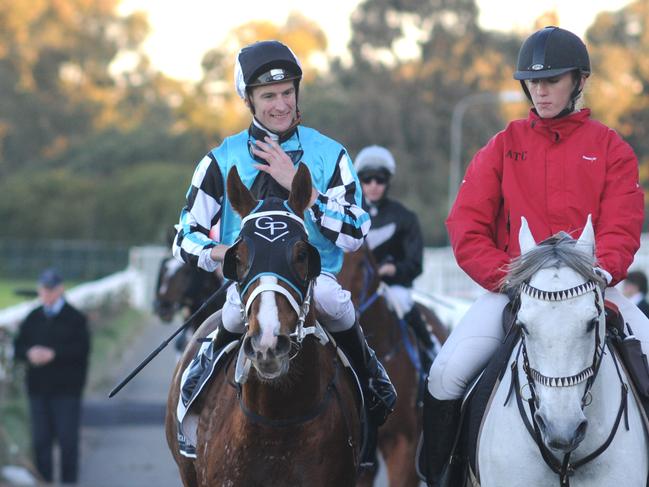 Photographer: Simon Bullard. Race 8 CELLARBRATIONS HANDICAP (3YO&UP BM84) - 1500m. Winner 'Hollywood Bound' ridden by Blake Shinn.