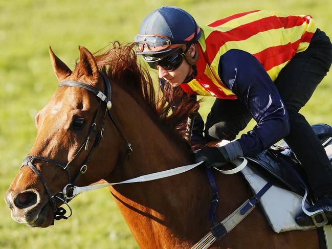 SYDNEY, AUSTRALIA - AUGUST 04: James McDonald on Nature Strip wins heat 2 during Sydney barrier trials at Rosehill Gardens on August 04, 2020 in Sydney, Australia. (Photo by Mark Evans/Getty Images)