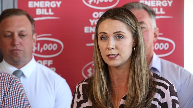 Queensland Local Government Minister Meaghan Scanlon talks on Mayor Troy Thompson in Townsville on Tuesday. Picture Adam Head