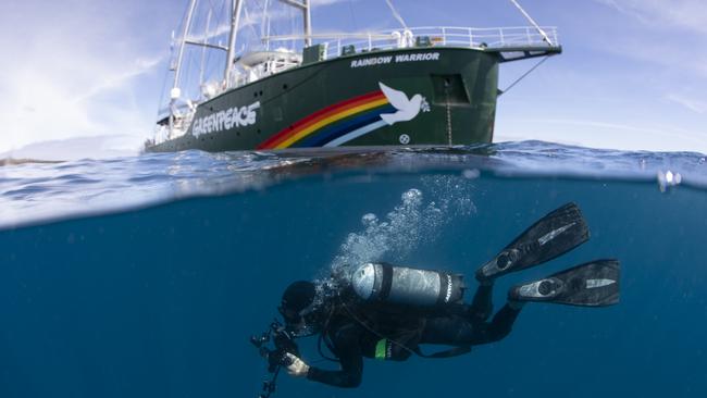 Diver with the Rainbow Warrior in the Great Australian Bight