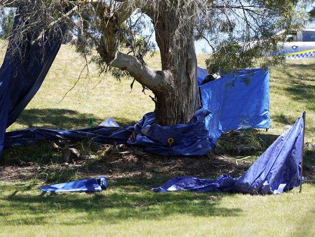 Part of the castle came to rest in a tree. Picture: Rob Burnett