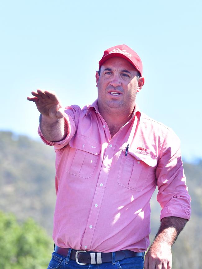 Elders Bairnsdale livestock manager Morgan Davies. Picture: Zoe Phillips