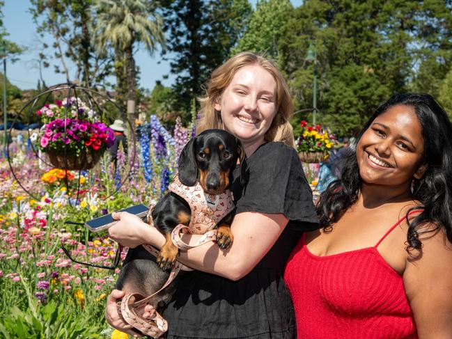 Courtney Hazeldine with Terry and Jessica Singh in Botanic Gardens, Queens Park during the Carnival of Flowers, Sunday, September 22, 2024. Picture: Bev Lacey