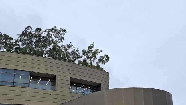 Two women charged with manslaughter have had health prohibition orders against them renewed.