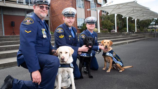 First Class Constable Gavin Story with PD 16 Nikki, Senior Constable Joshua Trengove with PD 18 Basil, and Senior Constable Will Flynn with PD17, Tilly. Picture: Linda Higginson